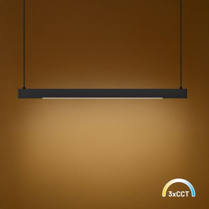 LED liustra ant laido LINEA LED/36W/230V 3000/4000/5700K CRI 90 juoda