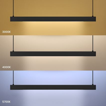 LED liustra ant laido LINEA LED/36W/230V 3000/4000/5700K CRI 90 juoda