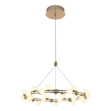 LED liustra ant laido MARS LED/50W/230V 3000K auksinė