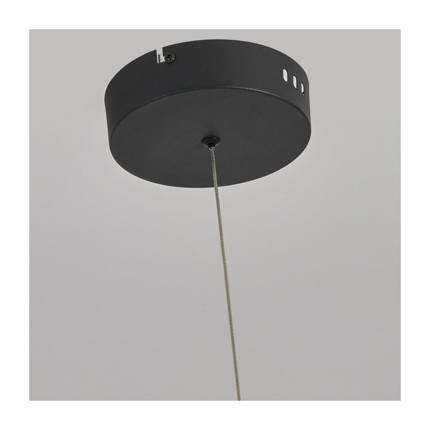 LED liustra ant laido MELECA LED/36W/230V 3000/4000/6000K 160 cm juoda