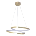 LED liustra ant laido ZEFIRA LED/40W/230V 4000K skersm. 50 cm auksinė