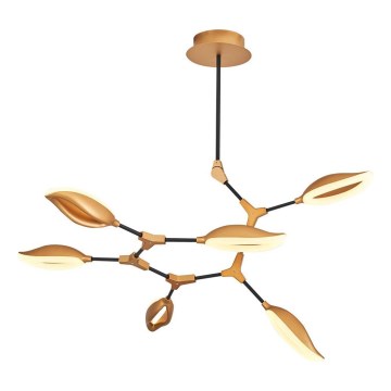 LED liustra ant strypo ASTI 6xLED/7W/230V 3000K auksinė