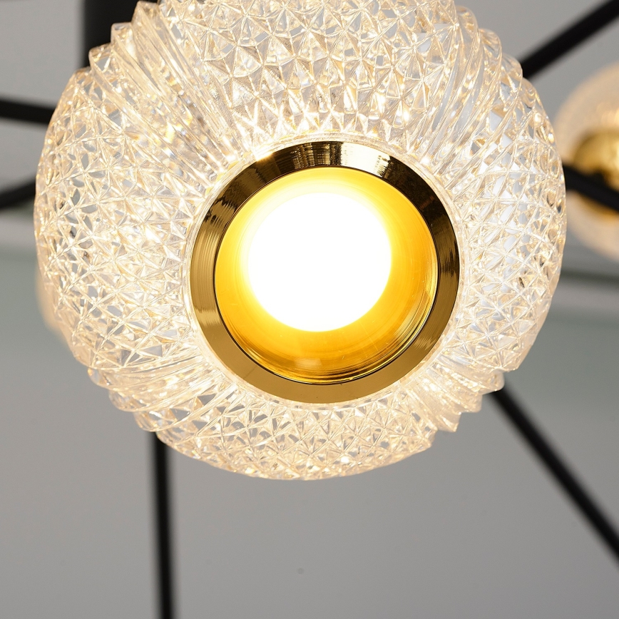 LED liustra ant strypo GELA 12xLED/5W/230V 3000K juoda/auksinė