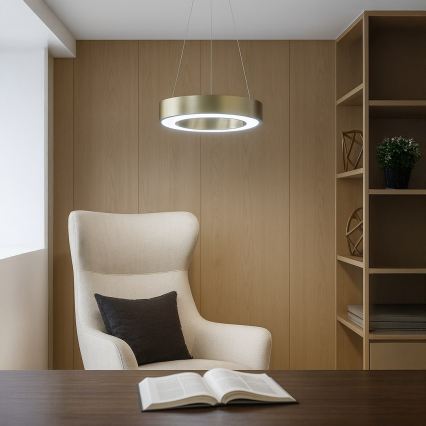 LED liustra ant troselio UNION LED/40W/230V 3000/4000/6500K, skersmuo 40 cm, auksinė