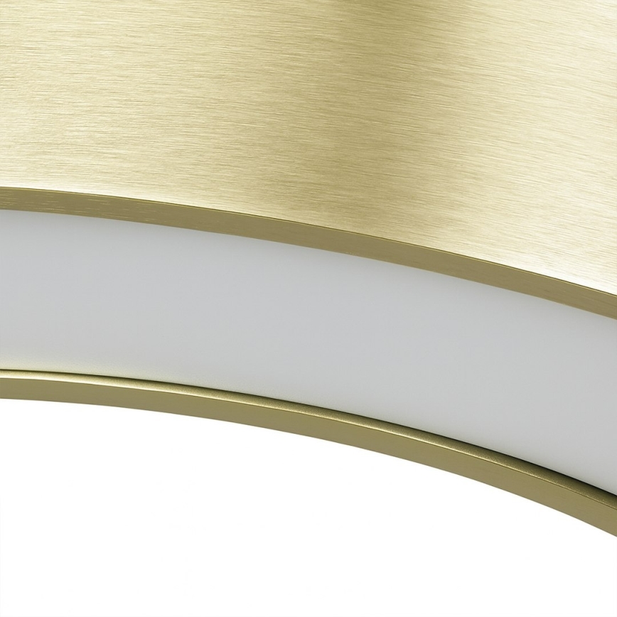 LED liustra ant troselio UNION LED/40W/230V 3000/4000/6500K, skersmuo 40 cm, auksinė