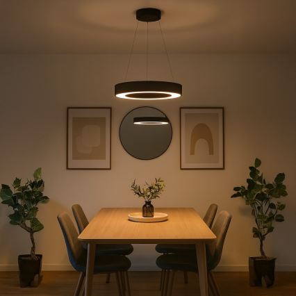 LED liustra ant troselio UNION LED/40W/230V 3000/4000/6500K Ø 40 cm juoda