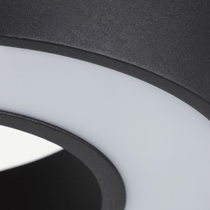 LED liustra ant troselio UNION LED/40W/230V 3000/4000/6500K Ø 40 cm juoda