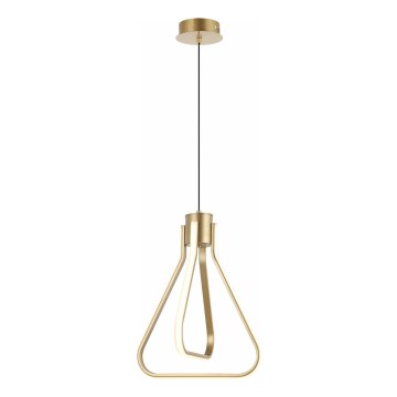LED liustra su kabeliu ZING LED/19W/230V auksinė