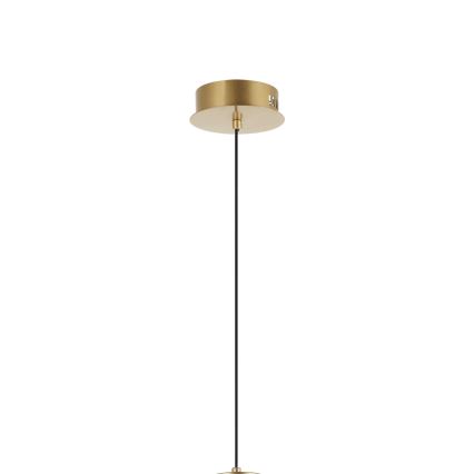 LED liustra su kabeliu ZING LED/19W/230V auksinė
