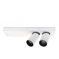LED lubinis akcentinis šviestuvas BERGEN 2xLED/11W/230V