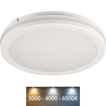 LED lubinis lauko šviestuvas BENO E LED/12W/230V 3000/4000/6500K diametras 20 cm IP65 balta