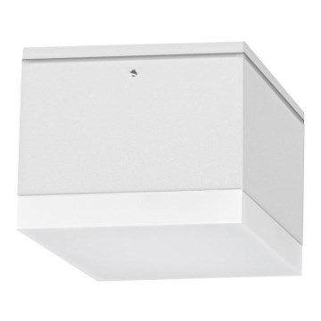 LED lubinis lauko šviestuvas BRUNO LED/10W/230V IP54