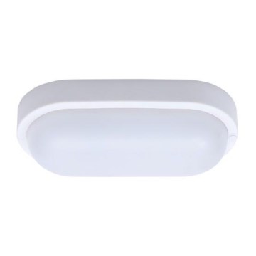 LED lubinis lauko šviestuvas LED/13W/230V IP54