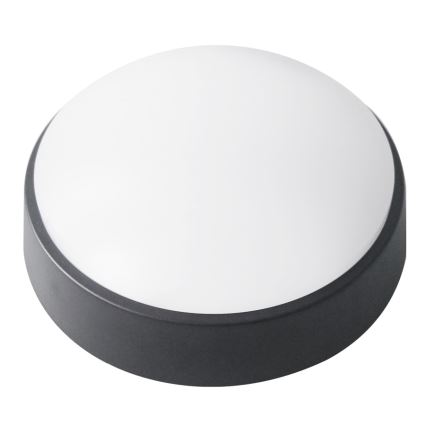 LED lubinis lauko šviestuvas LED/14W/230V IP54 juoda