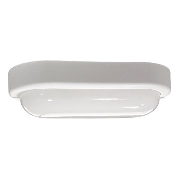 LED lubinis lauko šviestuvas LED/15W/230V 4200K 20x9,8 cm IP64 balta
