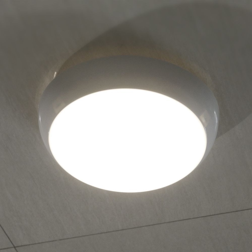 LED lubinis lauko šviestuvas LED/8W/16W/20W/230V IP65 3000/4000/6500K