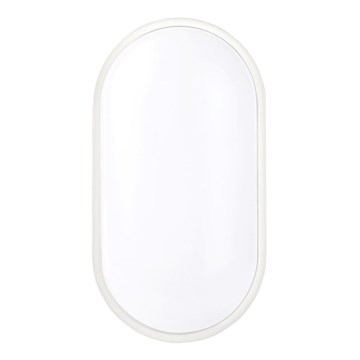 LED lubinis lauko šviestuvas LED/20W/230V IP65 balta