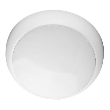 LED lubinis lauko šviestuvas LED/8W/16W/20W/230V IP65 3000/4000/6500K