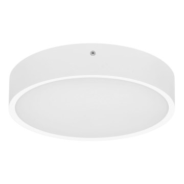 LED lubinis lauko šviestuvas MARTIN LED/25W/230V 3000/4000K diametras 35 cm IP65 balta