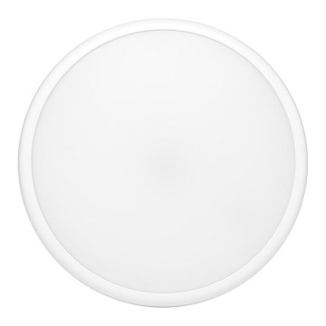 LED lubinis lauko šviestuvas MOVA LED/16W/230V IP65