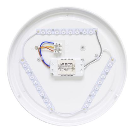 LED lubinis lauko šviestuvas NELA LED/20W/230V IP44