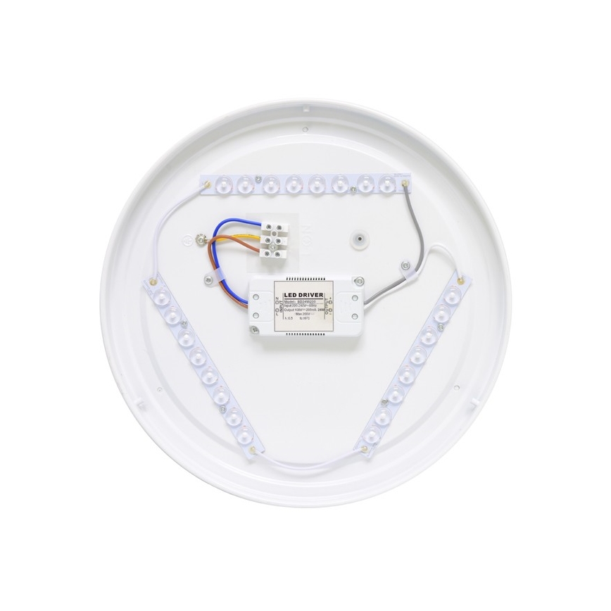 LED lubinis lauko šviestuvas NELA LED/20W/230V IP44