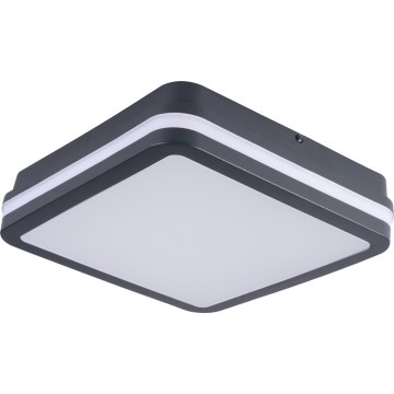 LED lubinis lauko šviestuvas su judesio jutikliu BENO LED/12/18W/230V 3000/3500/4000K IP65 antracitas kampinis