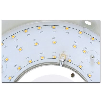 LED Lubinis lauko šviestuvas VICTOR LED/25W/230V IP44