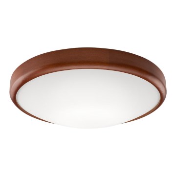 LED Lubinis šviestuvas 1xLED/24W/230V