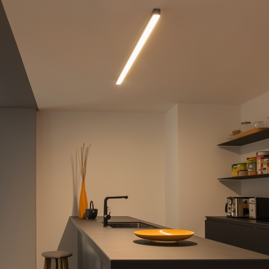 LED lubinis šviestuvas ALLDAY BASIC LED/20/30/40W/230V 2700/4000/6000K 120 cm juoda