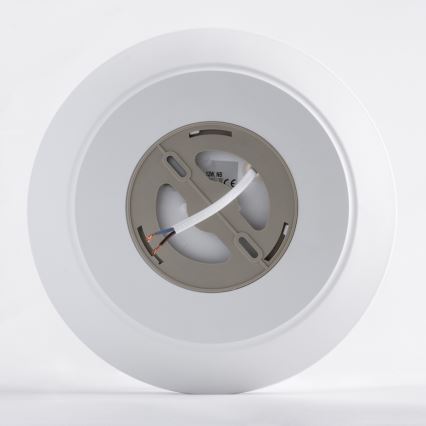 LED lubinis šviestuvas AVESTA LED/12W/230V 4000K IP54