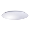 LED lubinis šviestuvas AVESTA LED/45W/230V 4000K IP54