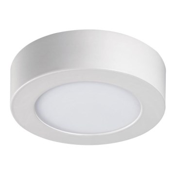 LED Lubinis šviestuvas CARSA LED/6W/230V 4000K baltas d. 11,9 cm