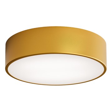 LED lubinis šviestuvas CLEO LED/24W/230V 4000K diametras 30 cm auksas