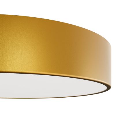 LED lubinis šviestuvas CLEO LED/24W/230V 4000K diametras 30 cm auksas
