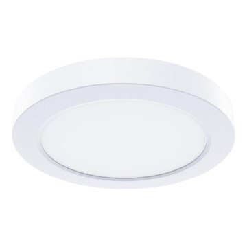 LED lubinis šviestuvas EVORA LED/6W/230V 3000/4000/6000K Ø 14 cm balta