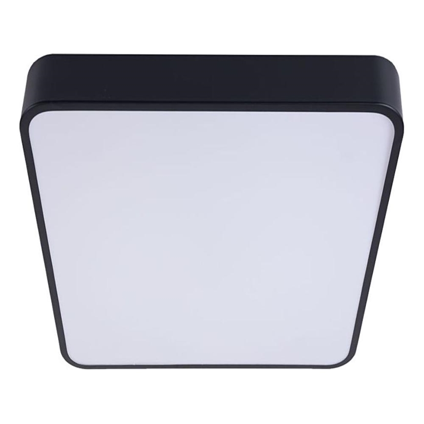LED lubinis šviestuvas FELIZ LED/50W/230V 4000K 40x60 cm juoda