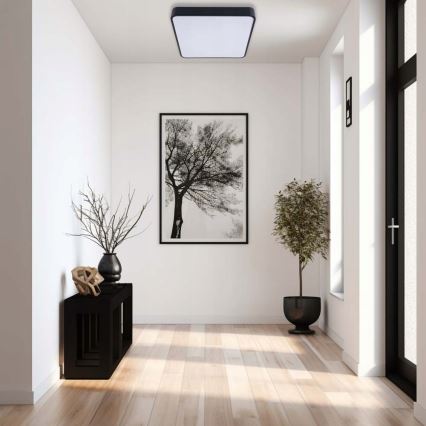 LED lubinis šviestuvas FELIZ LED/50W/230V 4000K 40x60 cm juoda