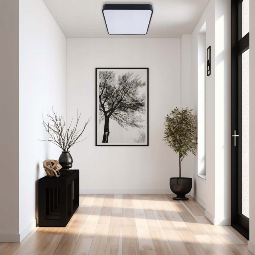 LED lubinis šviestuvas FELIZ LED/50W/230V 4000K 40x60 cm juoda