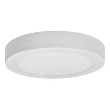 LED lubinis šviestuvas FENIX LED/12W/230V 2800K diametras 17 cm