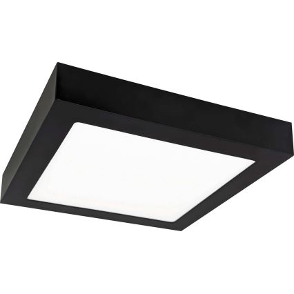 LED Lubinis šviestuvas FENIX LED/12W/230V 3800K 17 cm