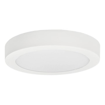 LED lubinis šviestuvas FENIX LED/12W/230V 3800K diametras 17 cm sniegas balta