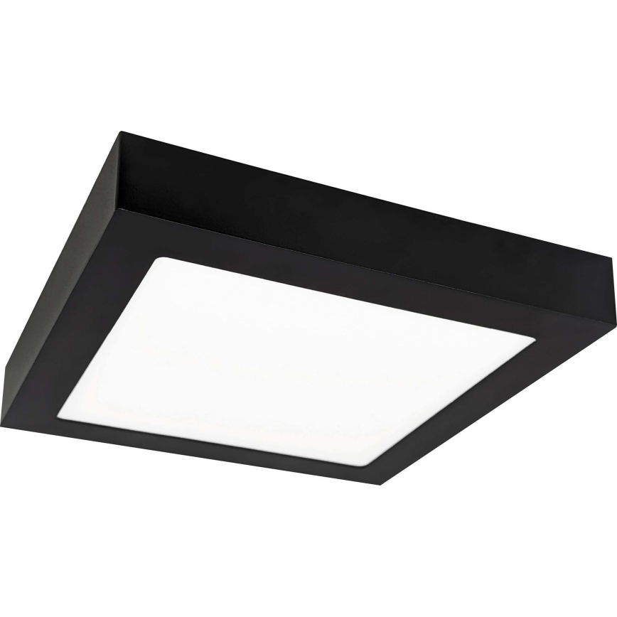 LED Lubinis šviestuvas FENIX LED/18W/230V 2800K 22,5 cm
