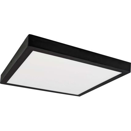 LED Lubinis šviestuvas FENIX LED/24W/230V 3800K 29,8 cm