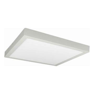 LED lubinis šviestuvas FENIX LED/32W/230V 3800K 40 cm balta