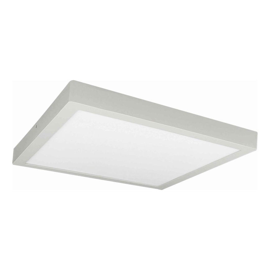 LED lubinis šviestuvas FENIX LED/32W/230V 3800K 40 cm balta