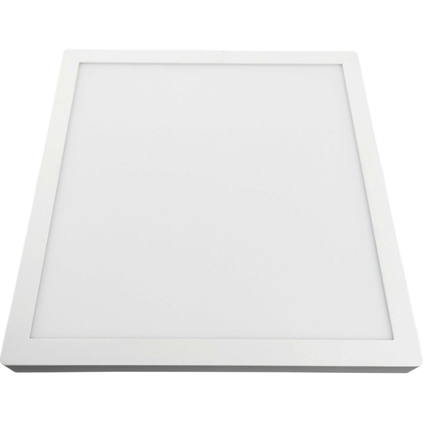 LED lubinis šviestuvas FENIX LED/32W/230V 3800K 40 cm sniegas balta