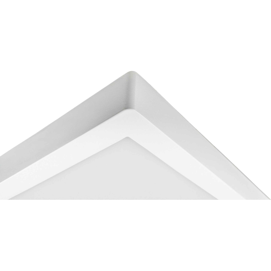 LED lubinis šviestuvas FENIX LED/32W/230V 3800K 40 cm sniegas balta