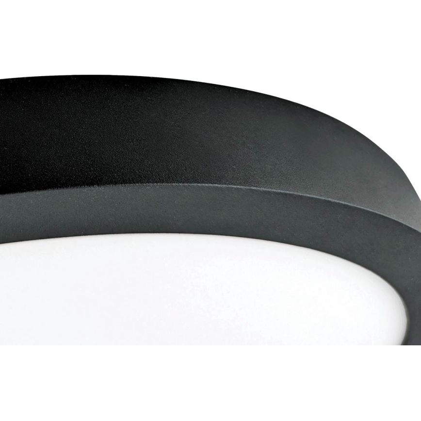 LED Lubinis šviestuvas FENIX LED/32W/230V 3800K d. 40 cm