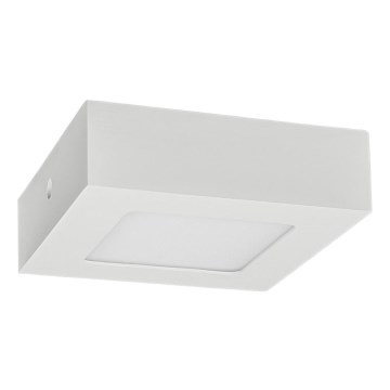 LED lubinis šviestuvas FENIX LED/6W/230V 2800K 12 cm